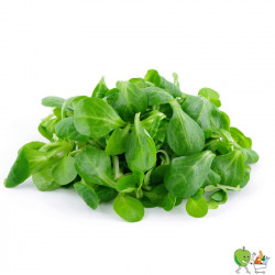 Salade de rampon 100g