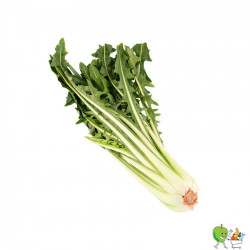 Catalogne - 450g-550g