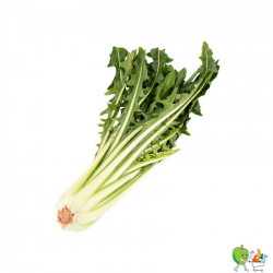 Catalogne - 450g-550g