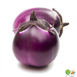 Aubergines rondes 500g