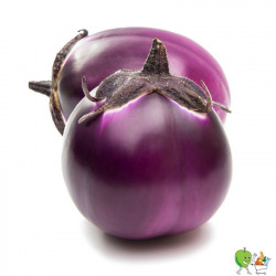 Aubergines rondes 500g