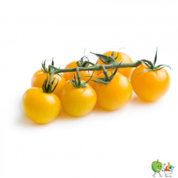 Tomate cherry jaune 250g