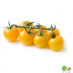 Tomate cherry jaune 250g