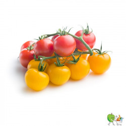 Tomate cherry mixte 300g