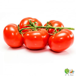 Tomate grappe - 1kg