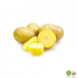 Pomme de terre Jelly - 5kg...