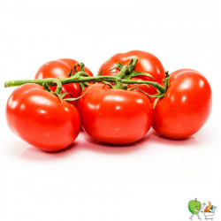 Tomate grappe - 1kg