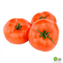 Tomates Bb charnues -...