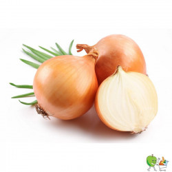 Oignons blancs - 1000g