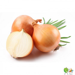 Oignons blancs - 1000g