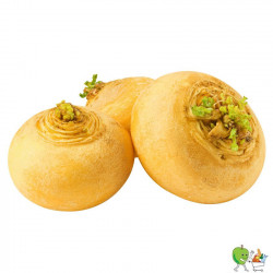 Navets ronds boule d'or -...
