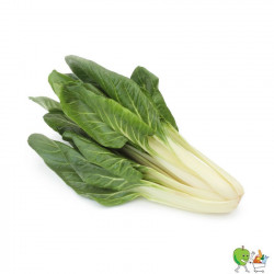 Côtes de bette 450g-550g