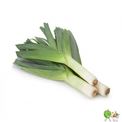 Poireaux blancs - 450g-550g