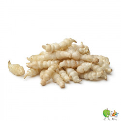 Crosnes - 450-550g