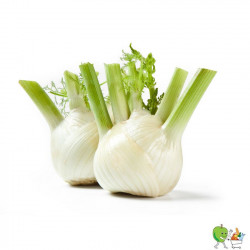 Fenouils - 450g-550g