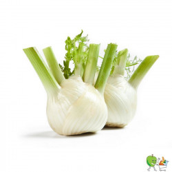 Fenouils - 450g-550g