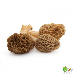 Morilles séchée 100g