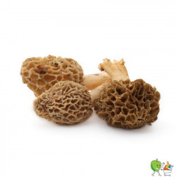 Morilles séchée 100g