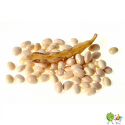 Haricots coco 500g