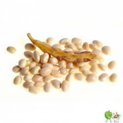 Haricots coco 500g