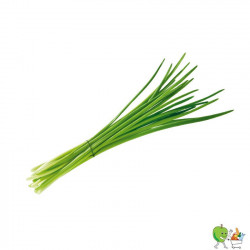 Ciboulette Thai 100g