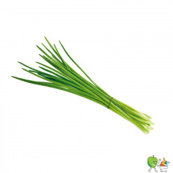 Ciboulette Thai 100g