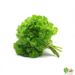 Persil frisé bouquet 20g