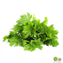 Persil plat 20gr