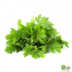 Persil plat 20gr