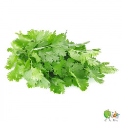Coriande 100g