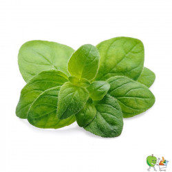 Origan 20g