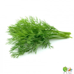 Aneth 20g