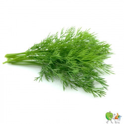 Aneth 20g