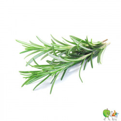 Romarin 20g