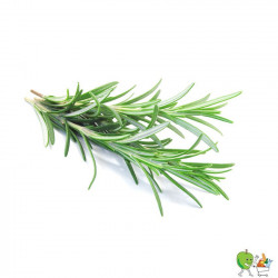 Romarin 20g