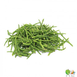 Salicorne 100g