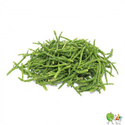 Salicorne 100g