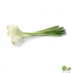 Oignons tige blanc - 200g