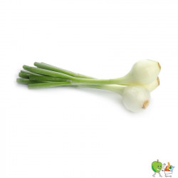 Oignons tige blanc - 200g