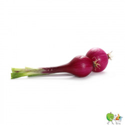 Oignons tige rouge - 200g