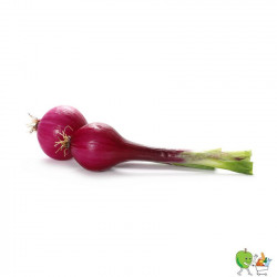 Oignons tige rouge - 200g