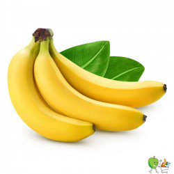 Bananes Junior Bio Fair...
