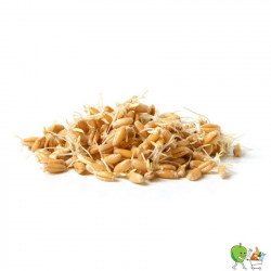 Germes de blé 150g