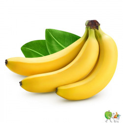 Bananes Junior Bio Fair...