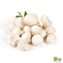Champignons blancs 250g