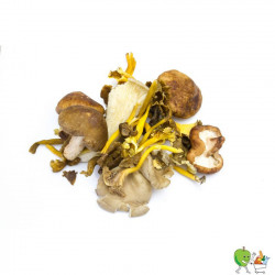 Champignons mélangés 250g-300g