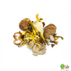Champignons mélangés 250g-300g