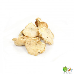 Champignons pied mouton...