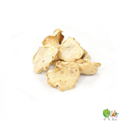Champignons pied mouton...