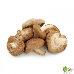 Champignons shiitaké 250g-300g